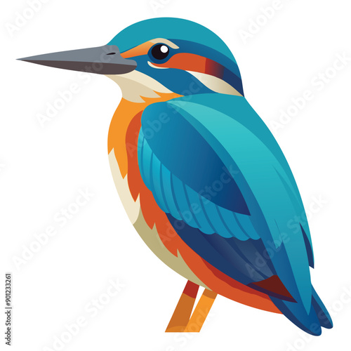 Kingfisher Bird Colorful vector 