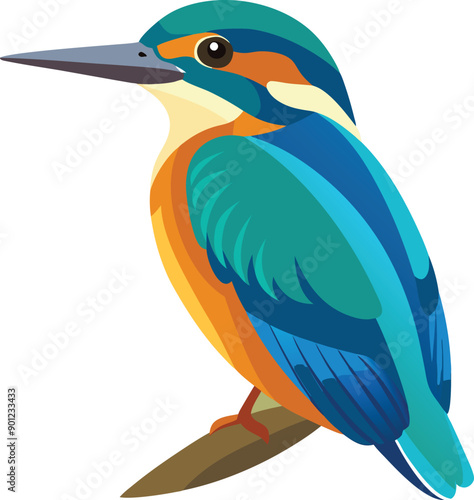 Kingfisher Colorful vector 
