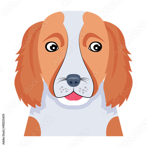 A flat style vector of welsh springer

