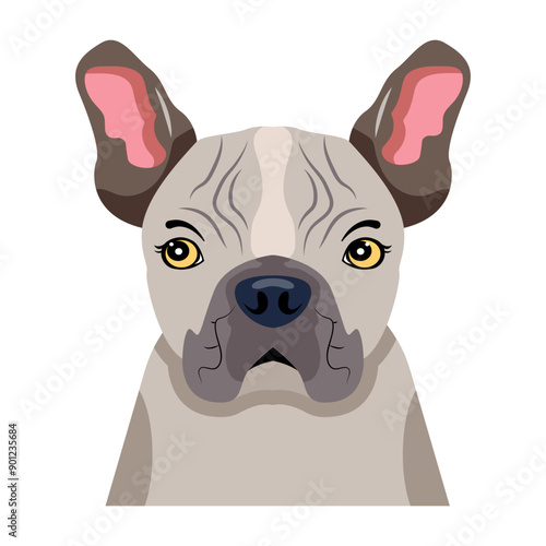 A flat icon of bulldog face 

