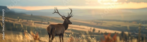 A majestic deer stands gracefully in a serene landscape, basking in the golden light of the sunset, surrounded by nature.