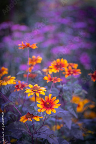 Summer garden flowers wallpaper Heliopsis helianthoides is a species of flowering plant in the family Asteraceae, known by the common names smooth oxeye and false sunflower Inspired Wallpaper