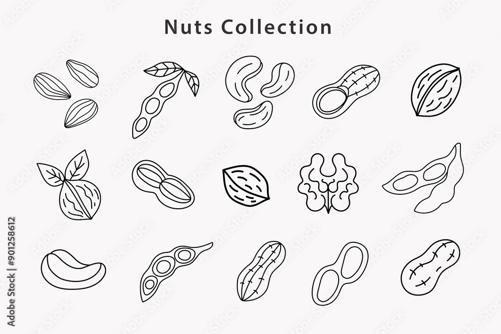 Organic Nuts Soybean Collection. Peanut, Almond Organic Nuts Soybean Collection. Peanut, Almond