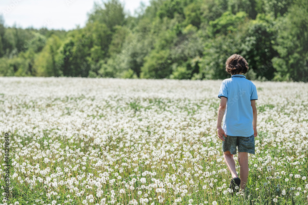 Boy walking in field full of dandelions on sunny day Boy walking in field full of dandelions on sunny day