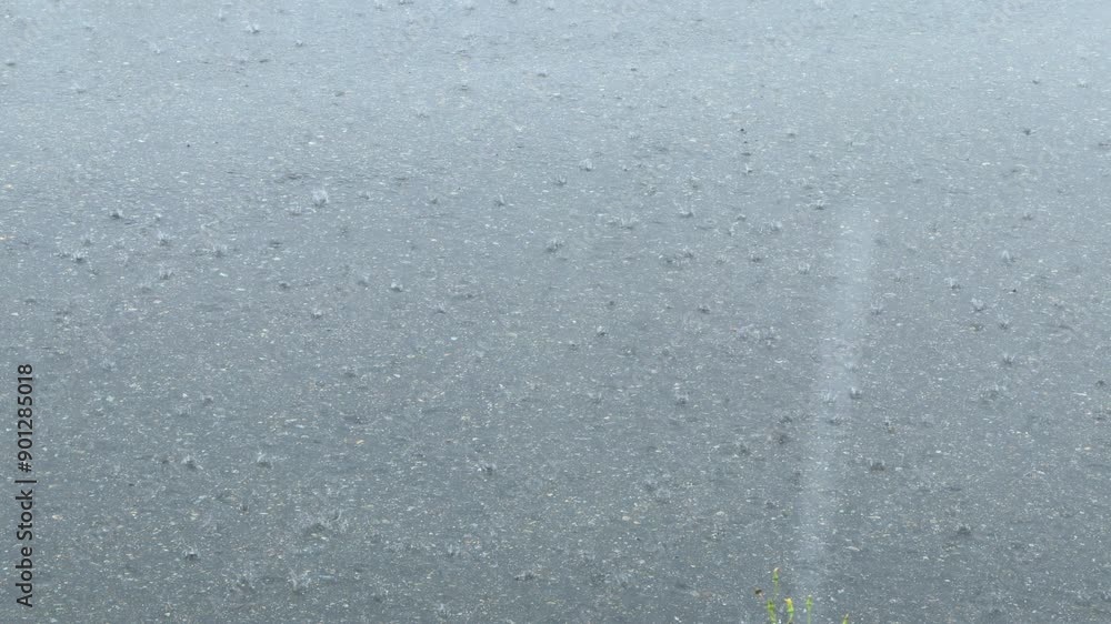 大雨　豪雨　アスファルト路面に降る雨