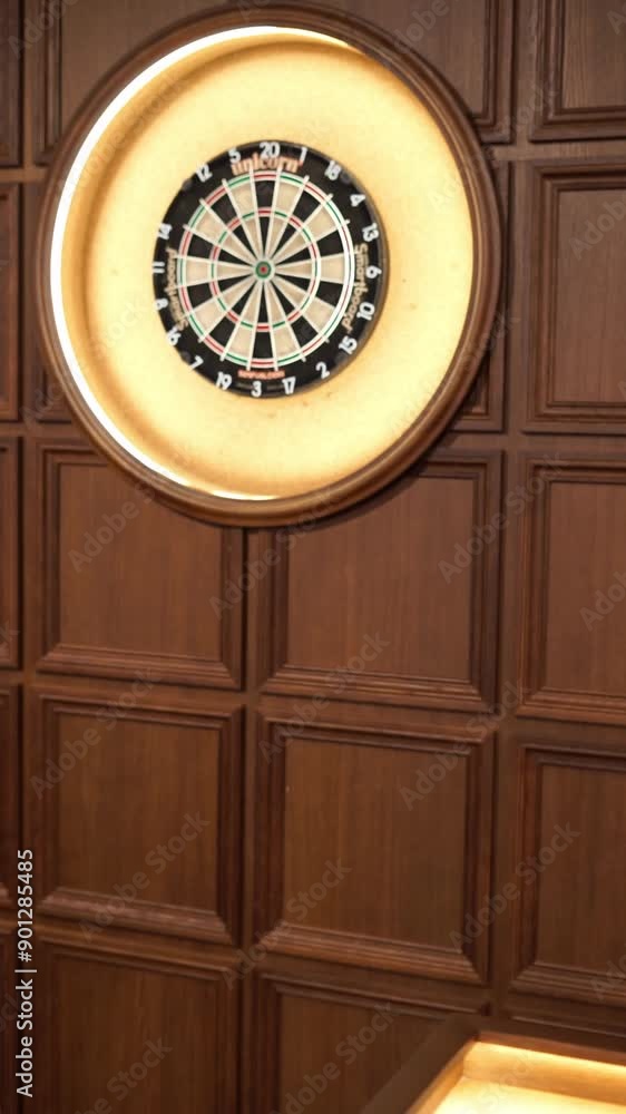 darts game vertical video darts game vertical video