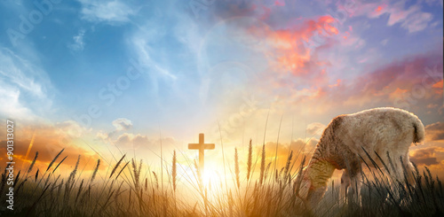 Fotografi Sheep in the meadow with cross at sunset. Easter background