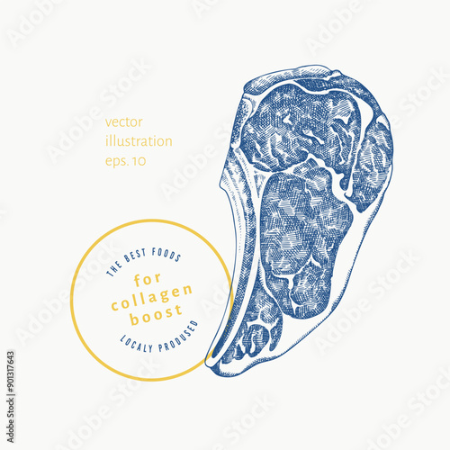 Vector Hand Drawn Meat Steak Illustration. Collagen Diet Food Illustration. Vintage Style Beef Steak