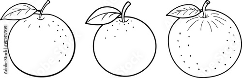 Clementine fruit outline coloring book page and digital line art