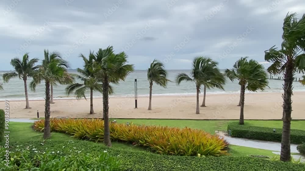 Pattaya Beach with sand and coconut tree in cloudy day Pattaya Beach with sand and coconut tree in cloudy day