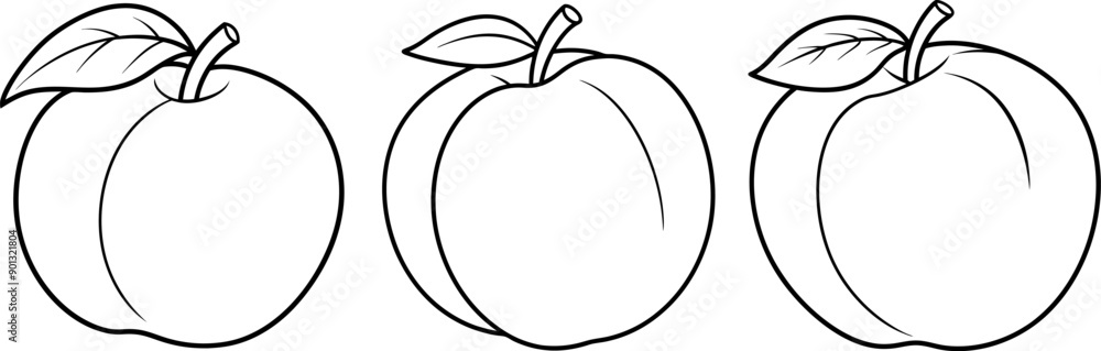 Peach fruit outline coloring book page and digital line art Peach fruit outline coloring book page and digital line art