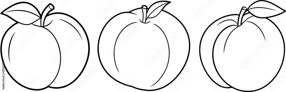 Peach fruit outline coloring book page and digital line art Peach fruit outline coloring book page and digital line art