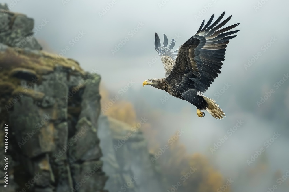Fototapeta premium Eagle flying over towering cliffs