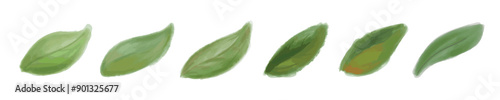 Watercolor leaves in vector