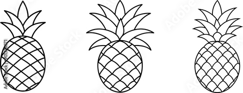 Pineapple fruit outline coloring book page and digital line art