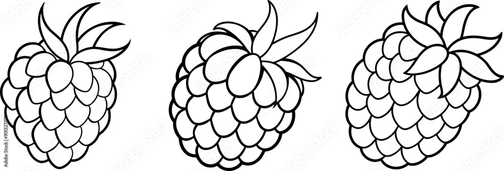 Raspberry fruit outline coloring book page and digital line art Raspberry fruit outline coloring book page and digital line art