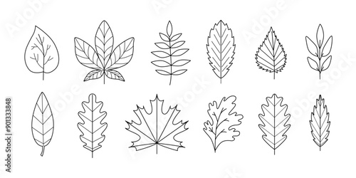 Outline autumn leaves clipart. Black and white fall foliage icons, doodles, stickers. Line art, contour, sketch. Golden cozy season. Forest. Vector isolated on white.