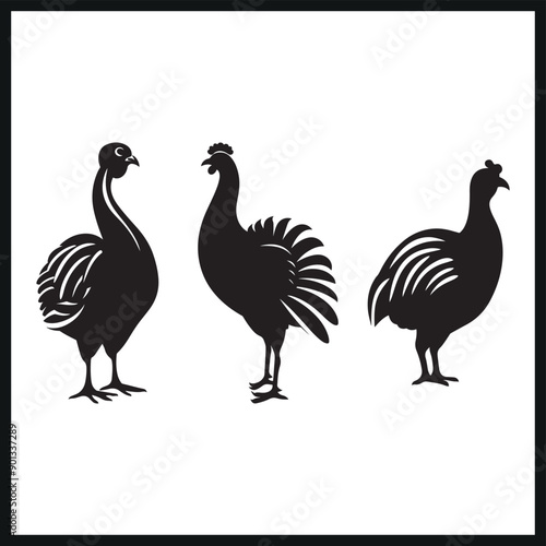 Vector Turkey silhouette. animal silhouette, logo, clip art 