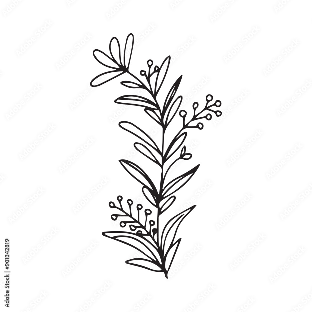 Obraz premium hand drawing black line floral isolated on white background. botanical floral