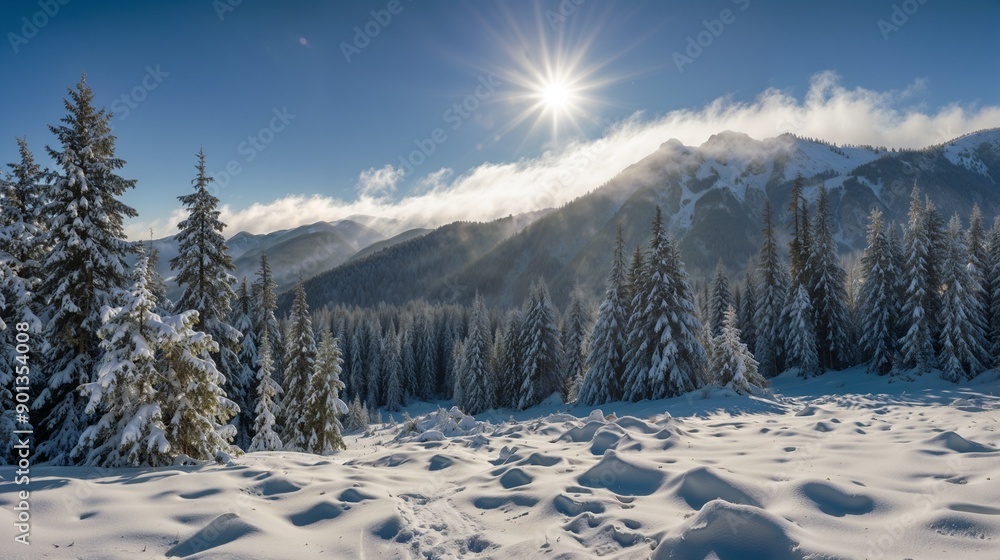 Winter Mountains, Snow-Covered Pines, Alpine Landscape, Clear Blue Sky, Sunlit Peaks, Winter Wonderland, Serene Nature, Winter Adventure