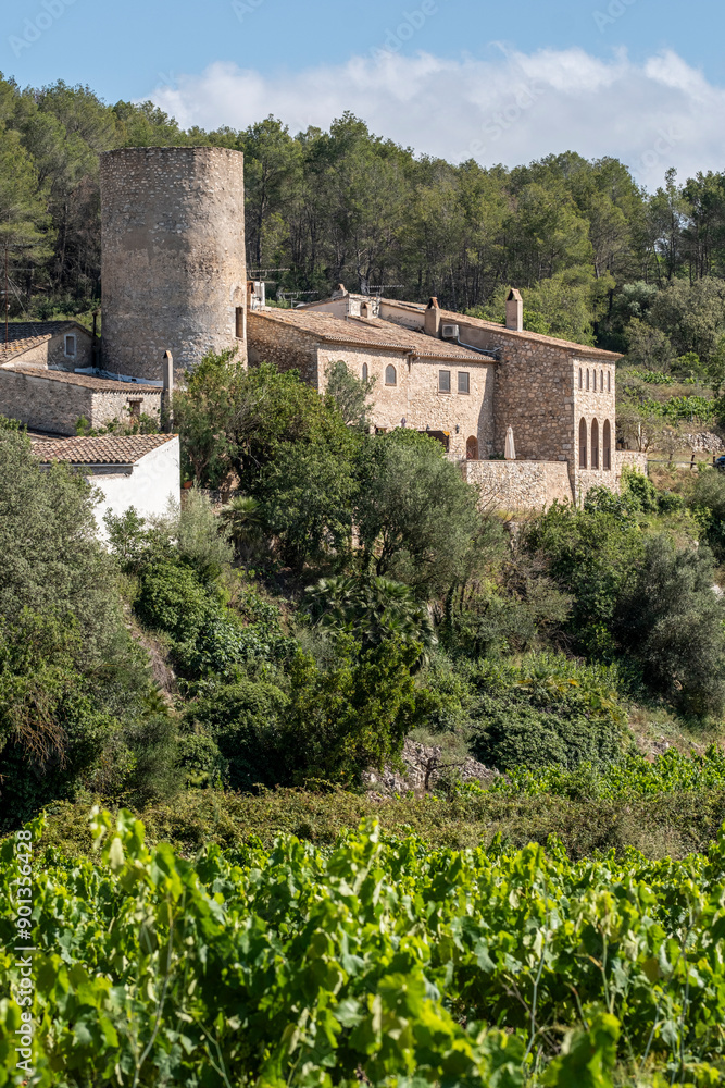 tower and rustic buildings, overlooks a lush vineyard that slopes into a dense forest in Penedes wine region Spain tower and rustic buildings, overlooks a lush vineyard that slopes into a dense forest in Penedes wine region Spain