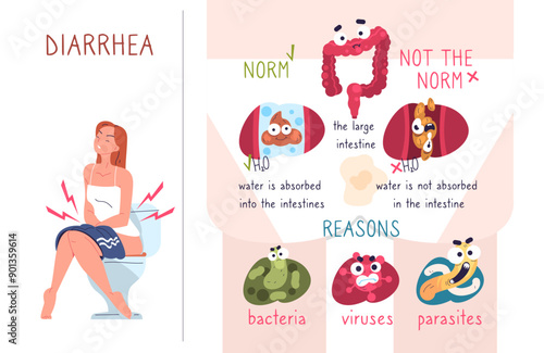 Diarrhea symptoms. Sick stomach disease unwell abdomen symptom infographic, infection poisoning abdominal cramps fever nausea, health care cartoon poster classy vector illustration