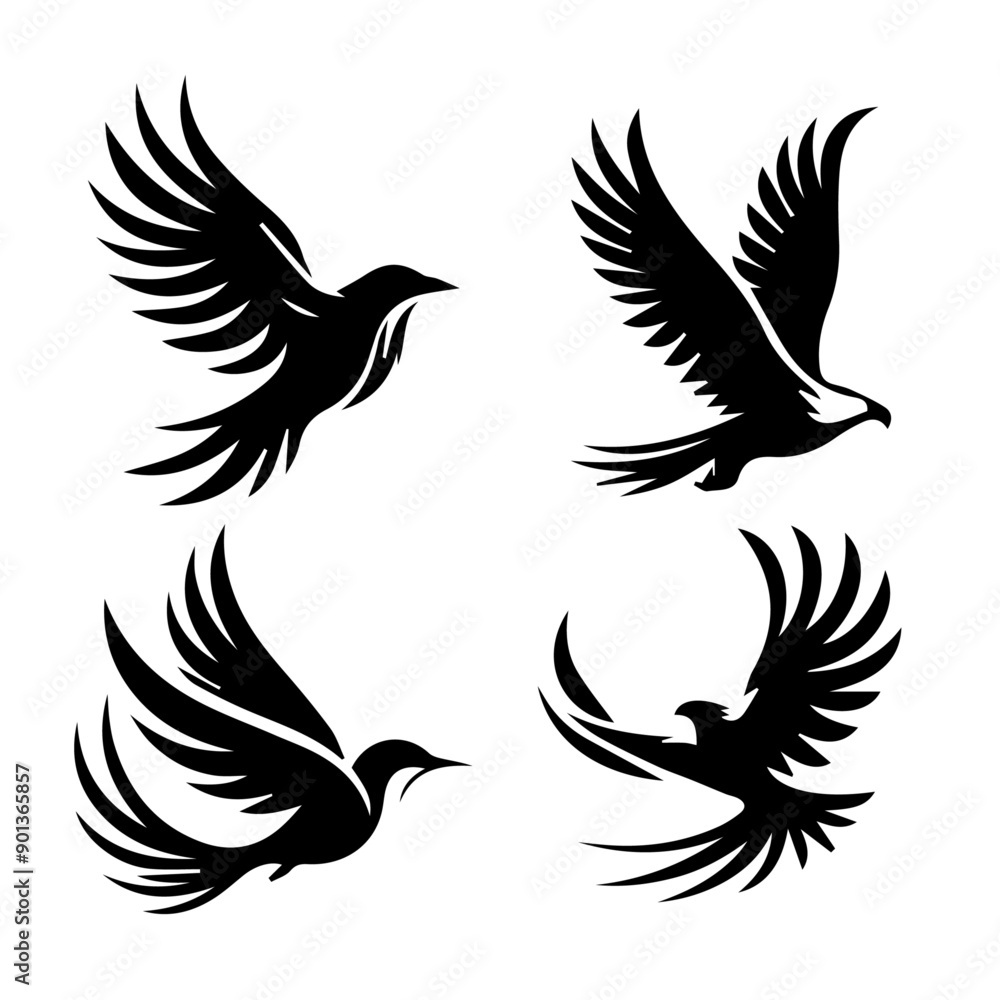 Obraz premium Swooping