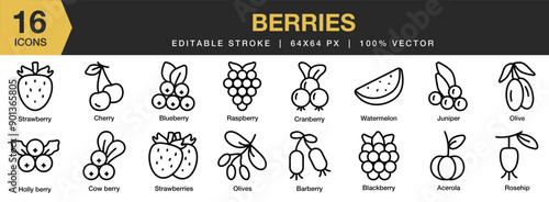 Berries icon set. Editable Stroke Icon Collection. Includes acerola, barberry, cherry, rosehip, strawberries, olives, and More. Outline icons vector collection.