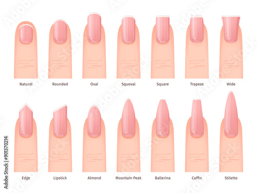 Fingernail shapes. Feminine Nail Shape Types finger nails manicure Natural oval square lipstick Ballerina fingernails Trendy visual Style infographic swanky Vector Illustration