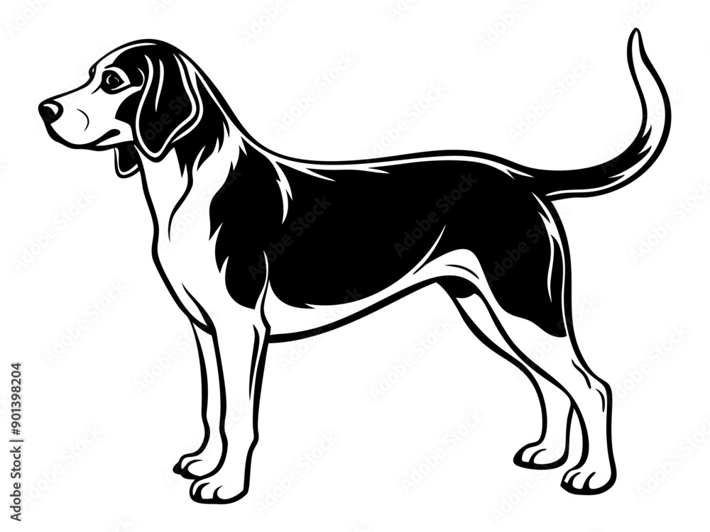 Beagle dog full body icon. Black and white logo, dog silhouette, engraving style. Pet character. Vector illustration Beagle dog full body icon. Black and white logo, dog silhouette, engraving style. Pet character. Vector illustration