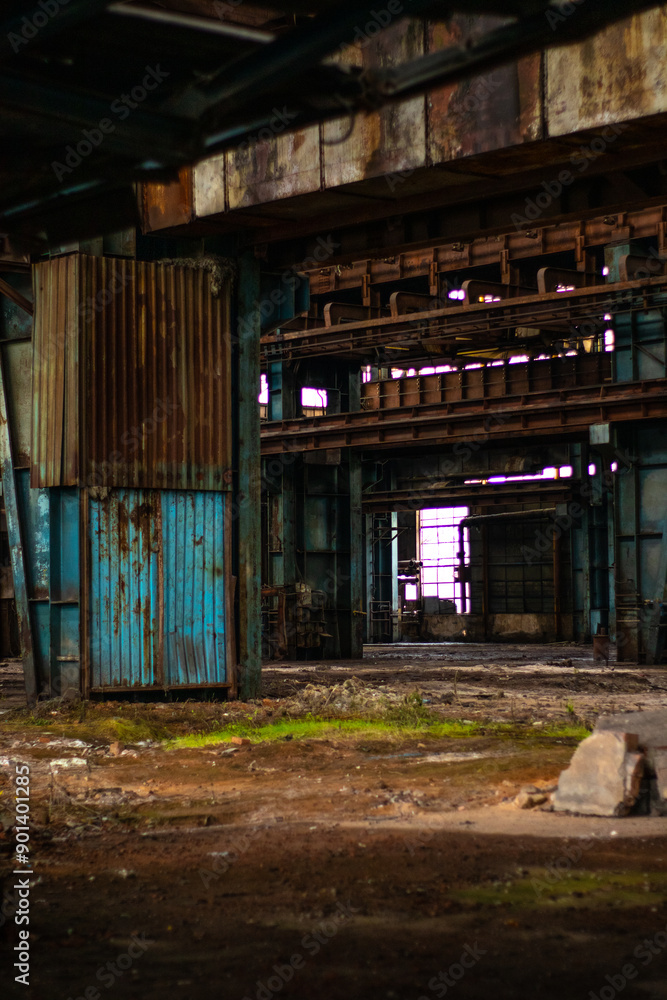 Old factory with objects abandoned inside and growing nature, power of life Old factory with objects abandoned inside and growing nature, power of life