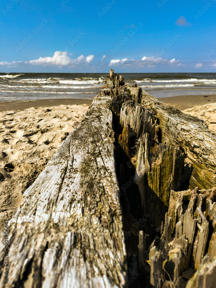 Wellenbrecher aus Holz am Sandstrand 