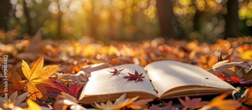 Autumn themed diary or notebook displayed with maple leaves outdoors Allows for adding text creating an autumn ambiance with copy space image
