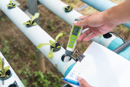 Check pH value of water in vegetable hydroponics system