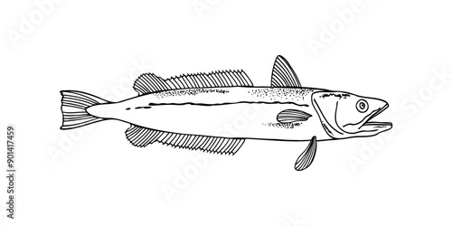 Adobe Illustrator Artwork