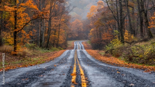 Winding Country Road Surrounded by Colorful Autumn Leaves in a Misty Forest