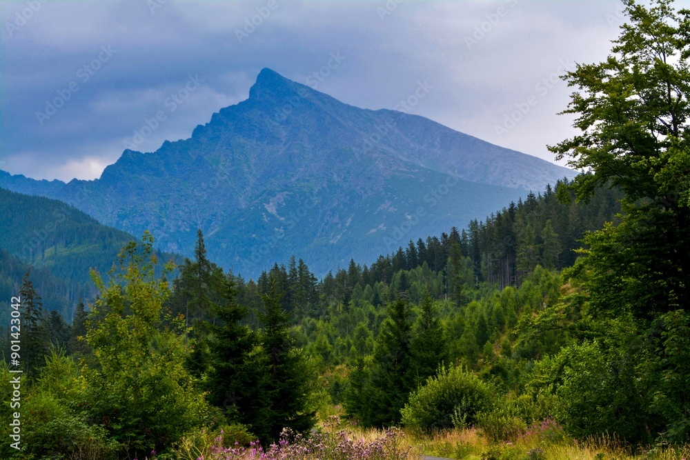 Obraz premium Kriváň Hill in the High Tatras in Slovakia