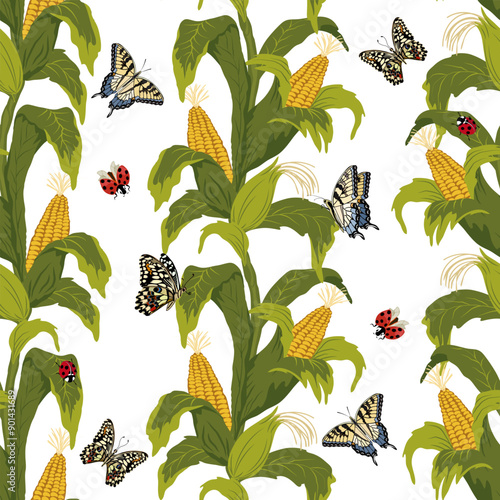 Vector colored pattern with corn.Corn and butterflies on a white background in a shameless pattern.