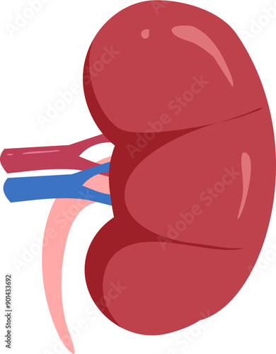 Kidney disease Illustration