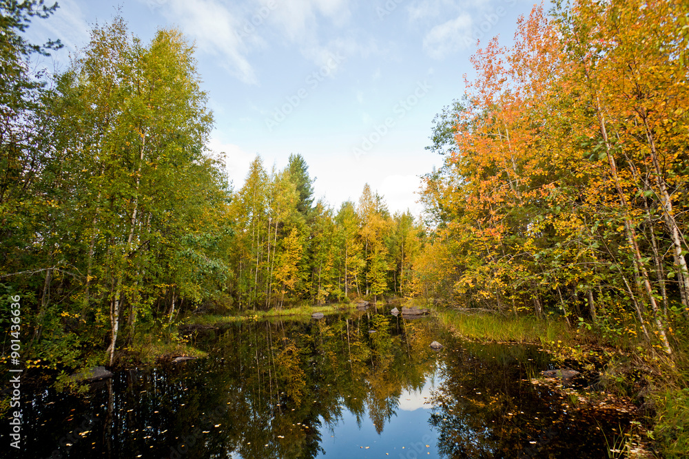 Lake in forest. Karelian autumn Landscape, Russia. Lake in forest. Karelian autumn Landscape, Russia.