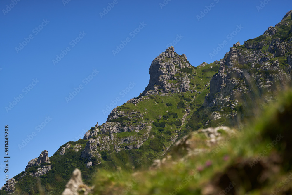 Summer in the mountains