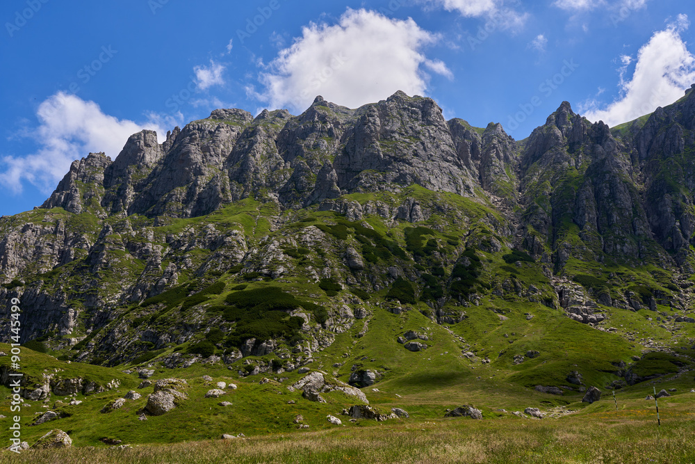 Naklejka premium Summer in the mountains