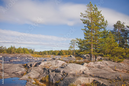 Vyg river. Karelian autumn Landscape, Russia. photo