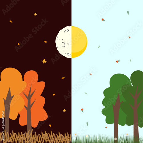 Season change visualization. Tree with autumn and summer leaves. Autumnal equinox,  Infographics for astronomical event in September 22, 23. Vector illustration.