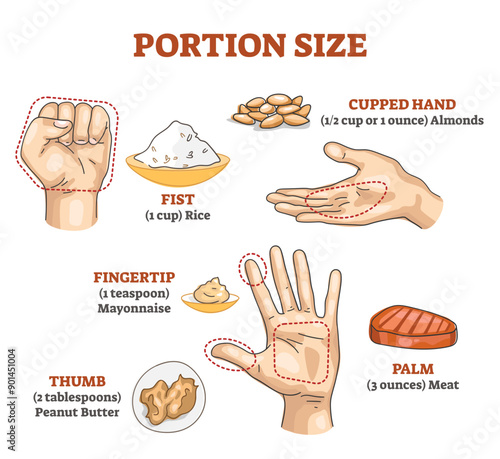 Portion size measurement and calculation for healthy diet outline diagram, transparent background.Food amount eating control with hand dimension comparison illustration.