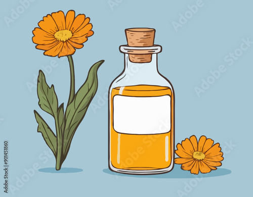 Hand drawn glass bottle with calendula oil or tincture vector illustration