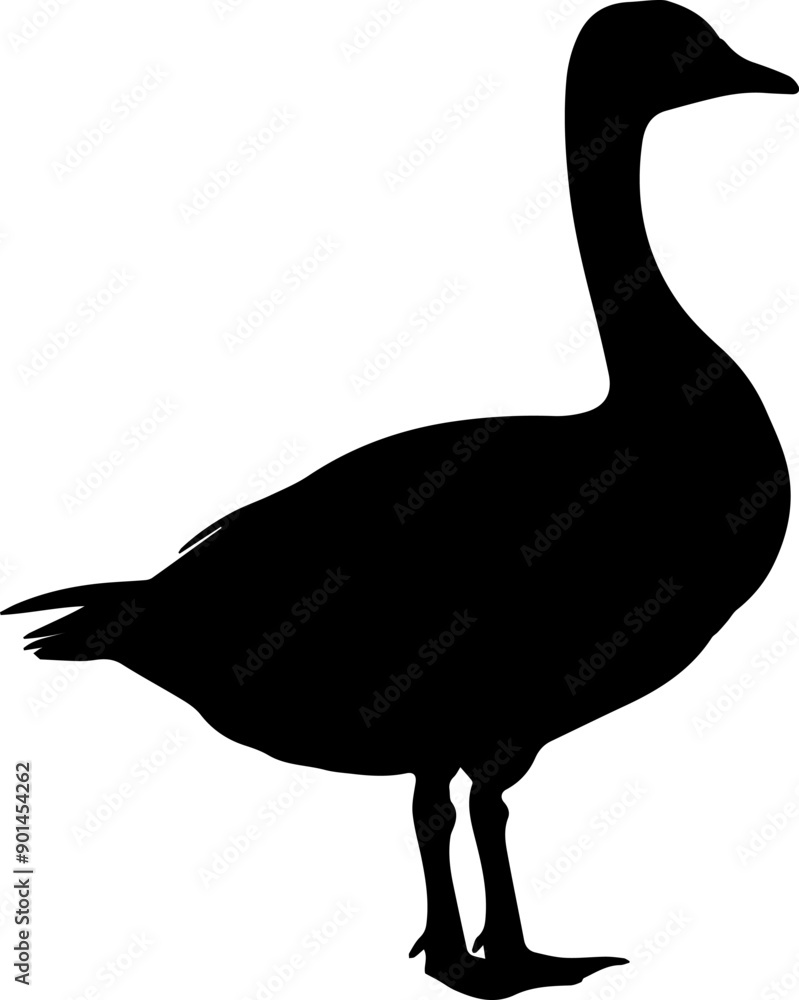Illustration of a goose silhouette. Vector. Illustration of a goose silhouette. Vector.