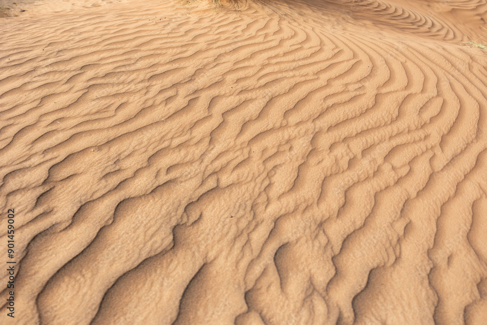 Sunset in the desert dunes in Dubai, UAE Sunset in the desert dunes in Dubai, UAE