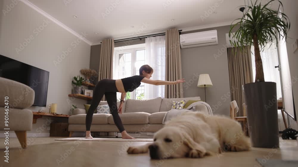 Charming Golden Retriever Laying Beside a Young Attractive Lady as She Performs Yoga: A Harmonious Blend of Fitness and Pet Relaxation Charming Golden Retriever Laying Beside a Young Attractive Lady as She Performs Yoga: A Harmonious Blend of Fitness and Pet Relaxation
