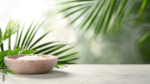White Stone Platform With Green Plant Background